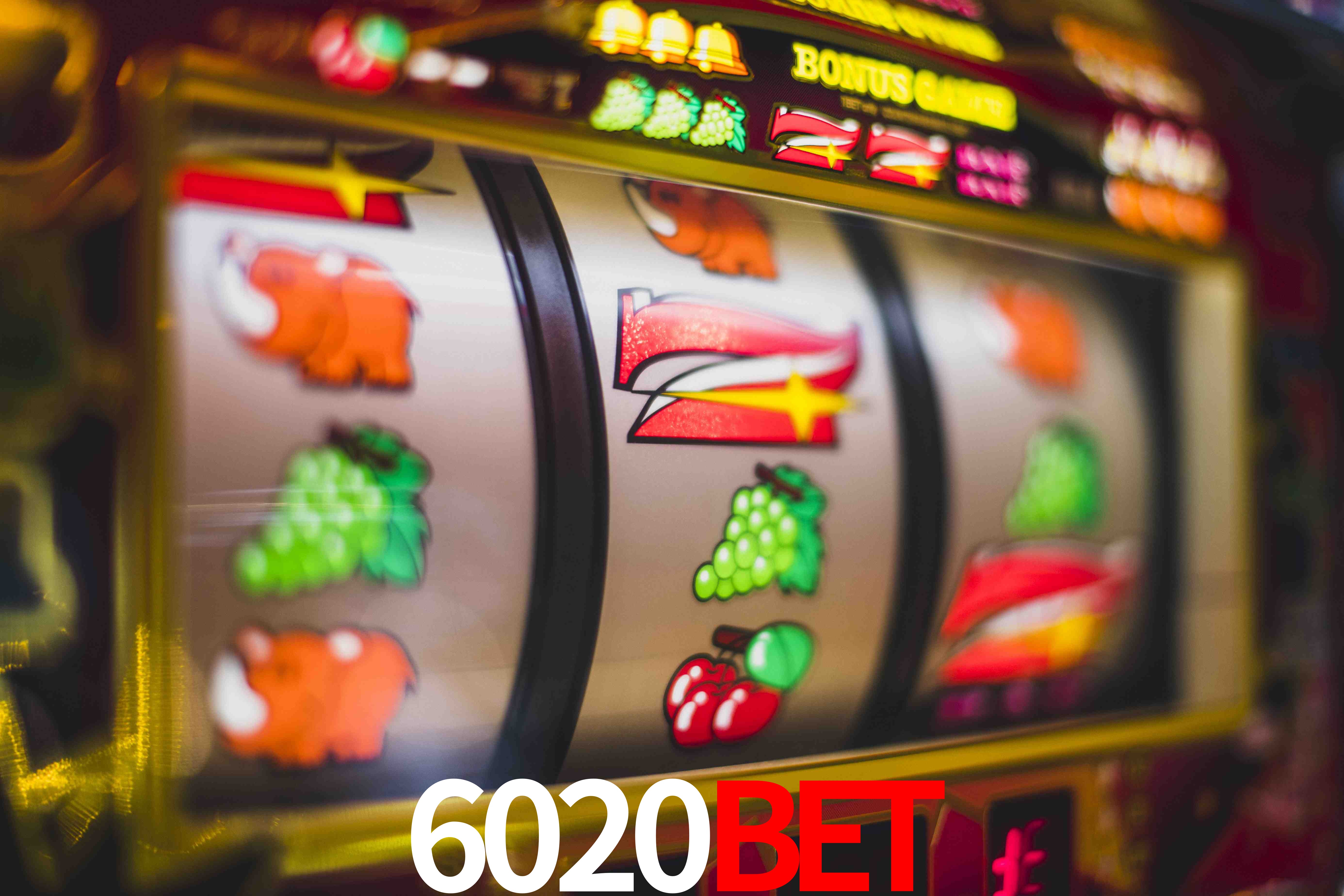 Football Betting 6020bet